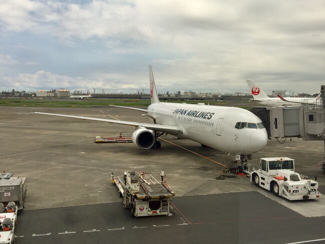 本当はA350に乗るために予約した今回の航空券…しかし機材がB767-300に変更されガッカリ。ただ羽田から福岡まで往復14800円と安価で、変更後もちゃんと希望通り窓側の席が確保されていたためキャンセルはせずに乗り慣れた機材でのフライトを楽しむことにしました。お天気が良くない割には穏やかなフライトで、ドリンクやキャンディーをいただきながらゆったり。そして乗務員さんのおかげで機内では退屈せずに過ごせました。機材変更はちょっと残念でしたが、こんな低価格でも上品質なサービスだったので大満足です^^