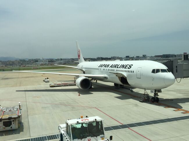 お目当の飛行機には乗ることができなかった今回の旅…機材変更はちょっと残念でしたが、JALが提供するサービスはいつも高品質で大好きです。天気が良くないわりには揺れも少なく空席も目立つ機内ではサービスにも余裕があり、飛行中には乗務員さんにちょこちょこ話しかけられて退屈知らず^^プレゼントをくださったり、ファーストクラスのシートで記念写真を撮ってくださったり、とにかく素晴らしいフライトでした。