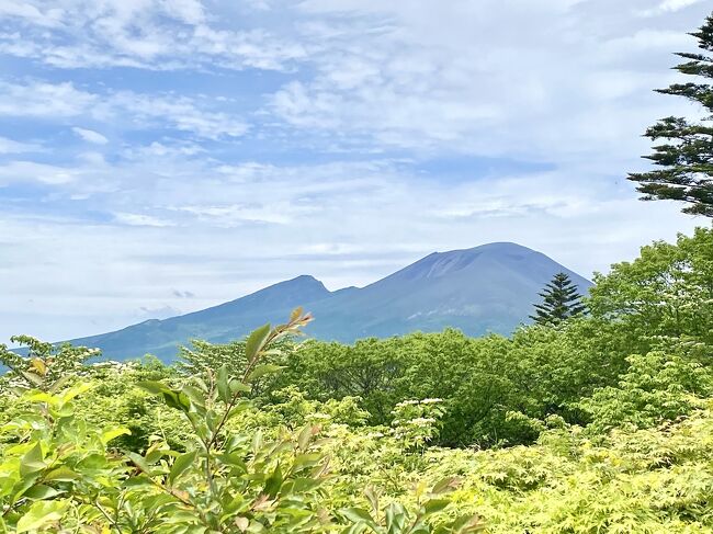 軽井沢　新緑散歩とパワースポット