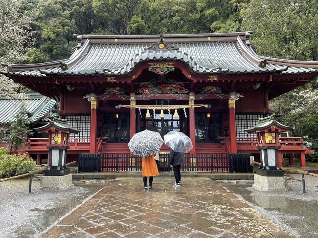 3月のハイキングは伊豆の天城山へ行きました。熱海温泉で一泊して2日目は雨の中熱海の市内や伊豆山神社を観光し、湯河原でラーメン食べて帰りました。