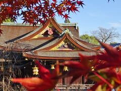 京のお散歩　　9　　金閣寺～北野天満宮～平野神社～上七軒～千本釈迦堂