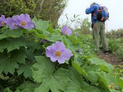 東北遠征（山登り）のやり直し　その１　秋田県・和賀岳