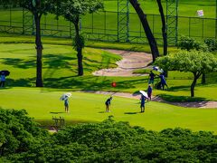 部屋からのリアコンバーターを付けた望遠レンズで撮影