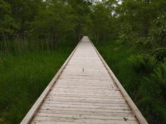 【北海道】 釧路湿原を3つの展望台から眺める 【釧路湿原】