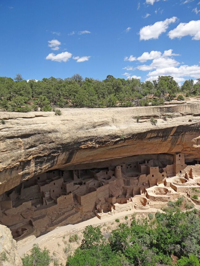 メサ・ヴェルデ国立公園（Mesa Verde National Prak）とフォー・コーナーズ（Four　Corners）を見学して来ました。本旅行記は「アメリカ　グランドサークル　アーチーズ国立公園」（https://4travel.jp/travelogue/11678778）の続きです。メサ・ヴェルデ国立公園は面積212.4 km^2（21,240 ha、東京23区の約1/3）で、コロラド州南西角近くに位置し、約600の岩窟住居を含む5,000以上の遺跡があり、米国で最大の考古学的保護区です。メサ・ヴェルデ（スペイン語で「緑の台地」）は、北アメリカで最大の岩窟住居であると考えられているクリフ・パレスなどの建造物で最もよく知られています。これらの遺跡はアメリカ先住民*)族であるプエブロ（Pueblo、ペイン語で「村」や「民衆」）の先祖である先祖プエブロ人（Ancestral Pueblo people、Ancestral Puebloans）によって残されたものであり、彼らの歴史は公園内にあるチェイピン・メサ考古学博物館（Chapin Mesa Archeological Museum）で見ることができます。 <br />フォー・コーナーズはメサ・ヴェルデ国立公園の西南西約50 kmにあって、米国で唯一4州（コロラド州、ニューメキシコ州、アリゾナ州、ユタ州）の共通のコーナーを示すの場所で、モニュメントがあります。　 <br /><br />*) 「アメリカ先住民」は英訳すると「Native American、ネイティブ・アメリカン」となります。ウィキペディアには「現在では、「インディアン」、「インディオ」という呼称は用いられなくなってきており、アメリカ合衆国では「ネイティブ・アメリカン」」と書かれていますが、プエブロの人々によれば、「ネイティブ・アメリカン」はアラスカ、ハワイの先住民、極端に言えばアメリカ生まれの人は全て「ネイティブ・アメリカン」となり、これでは自分たちのアイデンティティが保たれないとの理由から、「ネイティブ・アメリカン」よりは「インディアン」を好むとのことですので、彼らの主張に敬意を表して、以下では「ネイティブ・アメリカン」は使わず、必要に応じて「インディアン」を使うことにします。<br /><br />付録に、メサ・ヴェルデ国立公園の１．地理、２．住民の歴史と３．地質について記載しましたので、お時間とご興味のある方はご覧ください。<br />