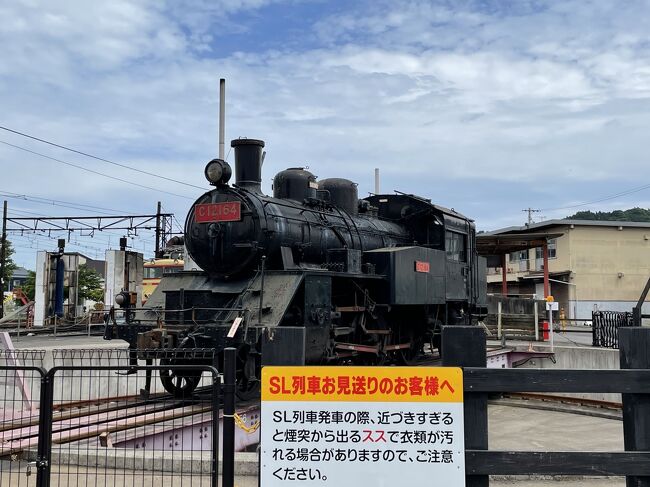 6月5日(土)。日帰りのドライブ旅行。<br />駅メモのイベント攻略のため静岡県へ。<br /><br />ひとつは「でんこと一緒にSL巡り♪」のために新金谷駅へ。<br />もうひとつは「音街ウナと巡る天浜線の旅　うなぴっぴごー！で鉄道遺産・文化財を見にいこう！」のために掛川駅から浜松方面へ向かって天浜線の駅をいくつか巡りました。<br /><br />本来ならどちらも鉄道を利用するのが正道でしょうが、このご時世ですので旅行はしていますが公共の交通機関の利用は控えています。大変申し訳ないことですが、すべて、車で巡りました。ただ、天浜線の攻略対象になっている駅はひとつひとつ訪れてみましたが、これは、車でなければできなかったなぁと思います。