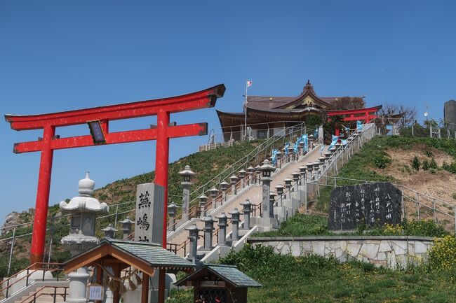 みちのく潮風トレイル☆蕪島から種差海岸まで歩いてみた《前編-ウミネコの蕪島》