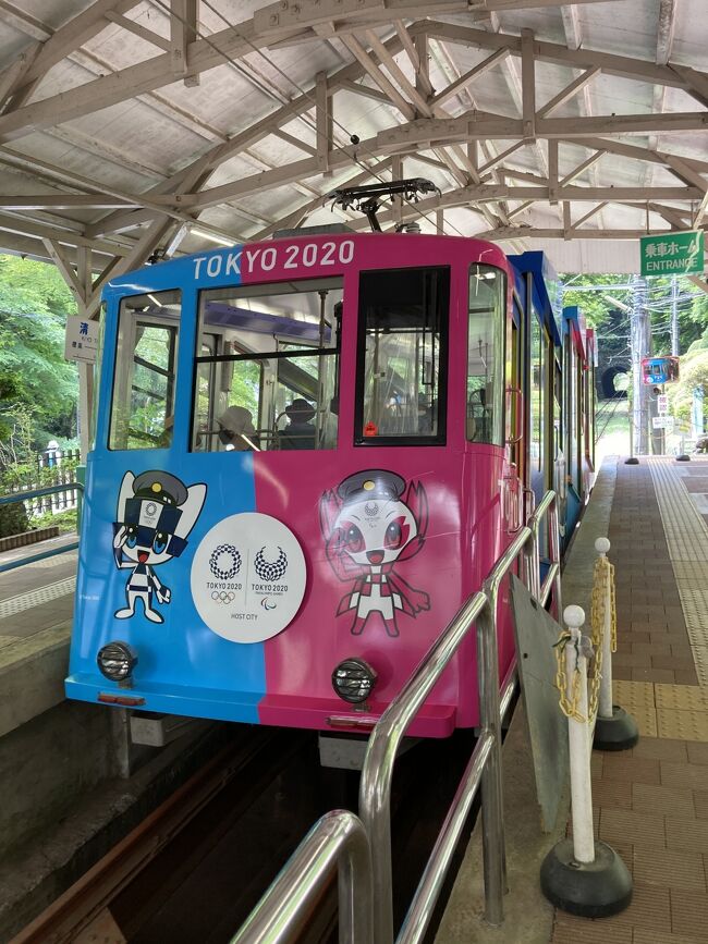 梅雨手前の高尾山、<br />天気が持ちそうで温度もそれほど高くないと言う予報の日、<br />山頂まで行ってきました。<br /><br />舗装された登山道であるということで<br />軽い気持ちで行きましたが、<br />階段も多くそれなりに大変でした。<br />自分的に用意した装備は<br />UVカットの帽子、チョコレート、タンブラー、お茶、<br />普通のスニーカーとスマホと充電器。 <br />(日焼け止めは家で塗っただけ。持っていくべきでした。)<br />山頂では霞んでいましたが<br />富士山を五輪マークと共に<br />見ることができました。
