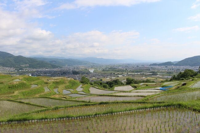 長野・姨捨の棚田に行ってみました。<br />日本三大車窓の風景とか、夜景スポットとしても有名なようです。<br />以前稲穂の時期に通りかかったことがありますが、今回水を張った棚田の景色を求めて行ってみました。<br />この3週間前にも一度行っていて、その時は水が入った田が半分ほどだったので再訪してみました。<br />朝焼けを狙って夜中に到着したのですが、天気予報に反しどっぷり曇天で、朝の景色は全く全然でしたが、それなりの景色が見られたのでよかったです。