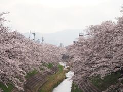 2021年　るなさんと行く春爛漫の奈良＆京都【2】佐保川の桜並木とお寺巡り＆くるみの木でランチ