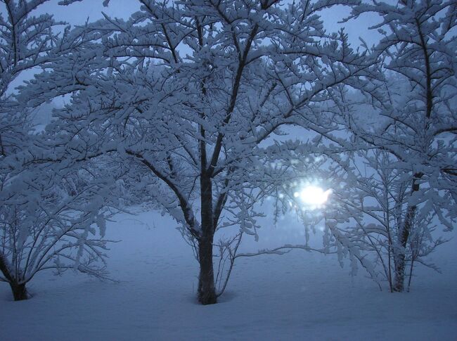 雪景色