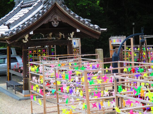 弟が員弁町の金井神社にカラフルな御朱印があることを教えてくれました。<br />ネットで調べると、境内がたくさんのかざくるまできれいです。<br />御朱印もきれいです。行って見たくなり出掛けました。<br />主人は、神社には興味ないのでお留守番です。<br />なかなか一緒に行く機会がないです。気分転換にドライブだけでもと<br />思うのですが。<br />弟と２人ででかけました。<br />わたしには良い気分転換になりました。