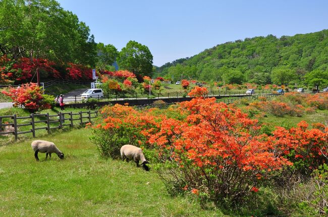 秘密の絶景ツアー２０２１ 赤城山周辺 群馬県 の旅行記 ブログ By Mr チャングムさん フォートラベル