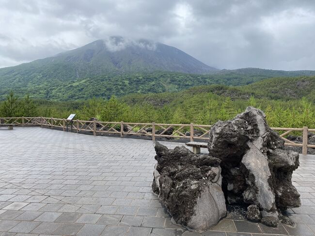 しばらくどこにも行ってなかったので、激安ツアーがないものかと探していると鹿児島の硫黄谷温泉霧島ホテルの一泊二食付き往復飛行機で3万円を切るツアーを発見!かごしまらくめぐりというレンタカー補助金制度もやっているとのことで早速申し込みました。<br /> ホテルは安いプランだったので期待していませんでしたが、眺望の良い広々としたシングルルームで食事も十分満足できました。<br /> 翌日は垂水市の黒酢や桜島を周り、桜島フェリーに乗って鹿児島市内へ行き、空港まで戻りました。