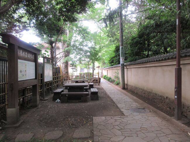 奈良時代の中頃、伝染病や地震、農作物の不作などを鎮静しようとして全国各地に建てられた国分寺です。70近くの国分寺が建っていた中、国分寺市に残る武蔵国国分寺は最大級の規模を誇る国分寺だったそうです。東西1.5㎞、南北1㎞程の広さがあり、現在は広い公園のような草地に、金堂や講堂、経蔵、中門、七重塔などがあった場所がわかるように整地されています。<br />国分寺跡周辺には尾張徳川家が鷹場として利用したお鷹の道や、湧水が流れ出る真姿の池、武蔵野の面影が残る雑木林を生かした殿ヶ谷戸庭園、国分寺村の名主だった方の住宅長屋門、歴代の徳川将軍から篤く庇護されていた国分寺と境内に造られた万葉植物園、薄暗い中に建つ国分寺薬師堂、鎌倉と群馬や長野を結んでいた鎌倉街道、国分寺と北関東を繋いでいた東山道武蔵路跡など、奈良時代以降の史跡が数多く残っています。<br />歴史的ロマンを感じながら、のんびり散歩が楽しめるエリアです。<br />