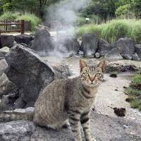 どこかにマイル6回目　長崎　佐世保、雲仙、ハウステンボス　2泊3日