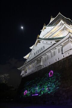 大阪・神戸、昭和を求めひとり彷徨う。（その1・太陽の塔とEXPO