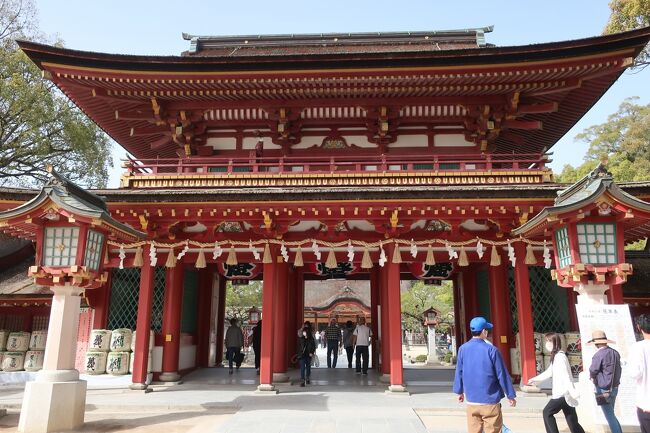 2度目の「どこかにマイル」を使っての家族旅行。今回は、sukeco義母が一緒の3人旅♪。3人とも九州が希望で、「福岡」、「大分」、「長崎」、「熊本」からの抽選でした。結果は福岡空港。sukeco夫婦、決まる前から気持ちは長崎。なので、レンタカーを利用して、長崎メインの旅行になりました。でも、せっかくなので、福岡では「大宰府」だけは観光することに(笑)。長崎市の観光では、またまた学び旅をし、雲仙では温泉に入ってゆったり♪。とても充実した旅行ができました。今回は「太宰府天満宮へ!(終)」編です。<br /><br /><飛行機><br /> JAL 羽田空港=福岡空港<br /><br /><ホテル><br /> 1日目 ザ・ロイヤルパークホテル福岡<br /> 2日目 Mt.Resort 雲仙九州ホテル<br /> 3日目 ANAクラウンプラザホテル長崎グラバーヒル<br /><br /><スケジュール><br /> 1日目 羽田空港でランチ「中華料理 彩鳳」、JALで福岡空港へ、レンタカーで「ザ・ロイヤルパークホテル福岡」へ、キャナルシティ博多でディナー「鮨さくら」<br /><br /> 2日目 朝食「Precious ONO HAKATA」、長崎自動車道「大村湾PA」、「長崎カステラランド」へ、「海の見えるレストラン」でカフェタイム、「Mt.Resort 雲仙九州ホテル」へ、「雲仙地獄」散策、ディナー「メインダイニング1917」<br /><br /> 3日目 朝食「メインダイニング1917」、長崎市内散策「眼鏡橋」、「中島川石群」、「松翁軒 本店」でショッピング、「フルーツ イワナガ」でカフェタイム、「平和公園」内散策、「長崎原爆資料館」見学、<br />「ANAクラウンプラザホテル長崎グラバーヒル」へ、「長崎電気軌道」で「長崎新地中華街」へ、ディナー「会楽園」、「出島」散策<br /><br /> 4日目 朝食「レストラン パヴェ」、「大浦天主堂」見学、「グラバー園」散策、長崎自動車道「川登SA」、ランチ「なみ満」、「大宰府天満宮」観光、福岡空港へ、「稚加栄」でショッピング、JALで羽田空港へ