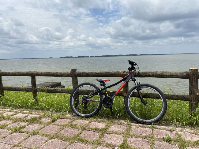 またまたレンタサイクルで走ってきました。<br />霞ヶ浦の東側、行方市・虹の塔から潮来駅までの30キロ弱です。<br />私のサイズの自転車が借りれなかったので、今回は長男と夫がランしてきました。<br />霞ヶ浦を何回かに分けて１周しようとしていますが、実際にちゃんと走っているのは長男だけです…<br /><br />ちょうどあじさいとあやめの季節だったので、お花も見てきました。<br /><br />☆１日目<br />虹の塔出発<br />ドライブイン魚文(昼ごはん)<br />二本松寺・あじさいの杜<br />水郷潮来あやめ園<br />かんぽの宿潮来泊<br /><br />☆２日目<br />道の駅いたこ