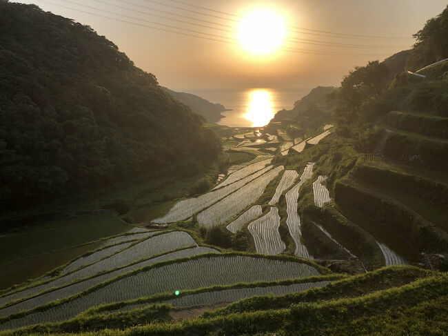 思い立って<br />唐津城と棚田の夕日を見に行く<br />