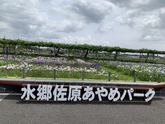 水郷佐原あやめ祭りの旅