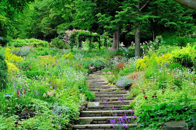 初夏の風に誘われ 神戸 布引ハーブ園 へ 神戸 兵庫県 の旅行記 ブログ By Akikoさん フォートラベル