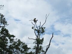 ②ときわ動物園３Days　～その他編～