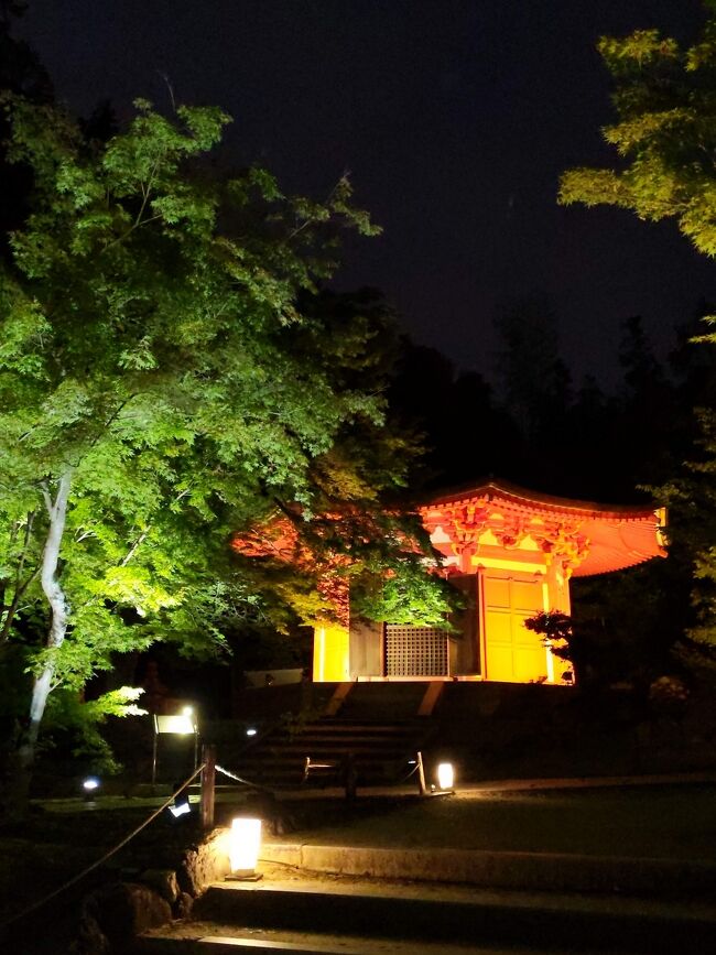 東福寺で初の青もみじライトアップと聞き、そういえばこの時期の京都は行ったことなかったな～と行ってきました。