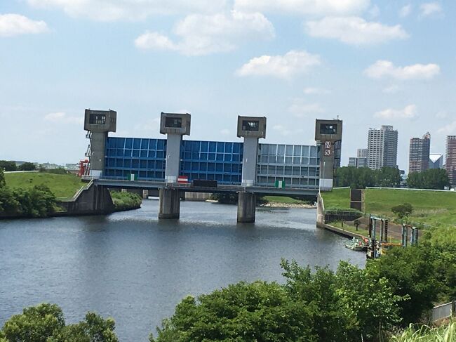 前々から歩いてみたかった隅田川を遡るてくてく旅、東京湾から岩淵水門まで23.5キロを歩きました。<br /> 隅田川は、古くは旧入間川が東京湾へ注ぐ下流部で、武蔵と下総の国境でした。江戸時代の初期に江戸の発展とともに国境が江戸川と変えられ、さらに江戸時代行われた瀬替えにより、荒川の本流となりました。<br />大河である荒川が低湿地の都心を通っていたから、たびたび洪水に襲われ、その対応として、明治末期から昭和初期にかけて岩淵水門から荒川放水路が開削され、荒川放水路が荒川の本流となり、岩淵水門から下流は隅田川と呼ばれるようになったそうです。<br /> 本当はこのてくてく旅を1日で終える予定でしたが、新型コロナウイルス感染症で引きこもり状態が続き、足の筋力が衰えていたんでしょうね。途中足が痛くなってきたため2日に分ける羽目になりました。<br />本編では白鬚橋からゴールとなる岩淵水門までです。その後、家に帰るために赤羽駅まで歩き、昼食を摂りました。