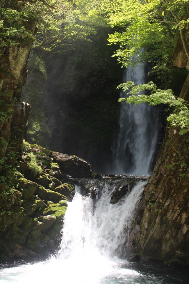 山陰の名峰・大山をぐるりとドライブ②　大山滝