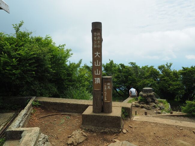 このまま夏山シーズンに突入するのはさすがにまずい。という事で足慣らしも兼ねてアクセスも良く手頃な大山へ日帰り登山。<br /><br />今回のコース　　大山ケーブルバス停 ～ こま参道 ～ 女坂 ～ 大山寺 ～ 阿夫利神社下社 ～ 富士見台 ～ 大山山頂 ～ 雷ノ峰尾根 ～ 見晴台 ～ 阿夫利神社下社 ～ （大山ケーブル） ～ 大山ケーブルバス停<br /><br />2017年11月に1度登っており、その時は紅葉を見ながらゆっくり登った事もあり比較的楽な印象だったのですが、やはり数か月のブランクが響き少々きつい登山となりました。<br /><br />参考　紅葉の大山日帰り登山<br />https://4travel.jp/travelogue/11304178<br /><br /><br /><br /><br /><br /><br /><br /><br />