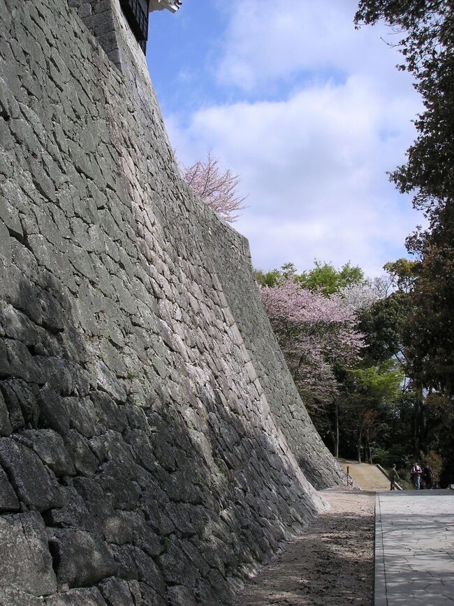 久しぶりに日本のお城見学.松山城。<br />Back to Japan, a Japanese castle, it always comes with it&#39;s wall. Can <br />you climb up?<br /><br />
