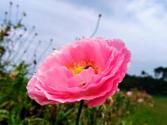茨城県 世界遺産 に関する旅行記 ブログ フォートラベル