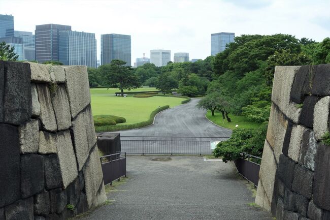 緊急事態宣言中とは言え、毎日普通に出勤して、Uberの配達もこなして、要は仕事に関して何も変わった事は無いのに、出かける事だけに制約が有るって、どうなの？<br />そんな鬱屈した心持ちで過ごす中、もう旅行記のネタも尽きかけたところへ、去年の12月から半年あまり閉苑していた皇居東御苑が今週8日から再開したって情報をゲット。通勤定期の範囲内だし、久々に朝一番で行ってみよう！急遽前日の夕方思い立ちました。<br />その時は5年前に阪急トラピックスの「江戸城歴史ウォーキング」に参加して訪れていた事を見事に忘れていました(ってか、思い出したのは現地で番所を見た時でした)。<br />詳しい解説も載せてるその旅行記はこちらです。<br />https://4travel.jp/travelogue/11236910<br /><br />今回は1人で気ままに歩き廻ったところ、休憩無しでも2時間半ほどかかり、いつものように写真の枚数もかなり増えました(樹木やや多めな本丸編です)。<br />なので二の丸と本丸の2部構成とさせていただきました。<br />二の丸編はこちらです。<br />https://4travel.jp/travelogue/11696777<br />