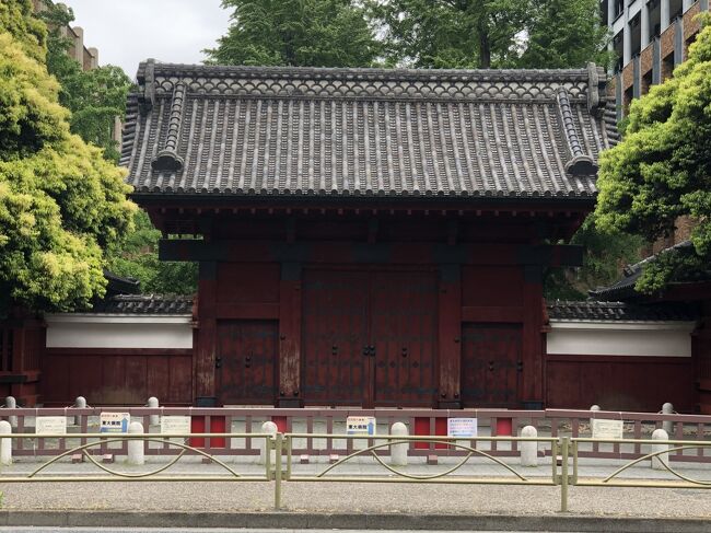 赤門の前を通りました。<br />旧加賀藩主前田家上屋敷の御守殿門だそうです。<br />