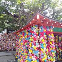 車なし！一人旅！京都～込み合っていない京都は初ですΣ(ﾟДﾟ)～　①