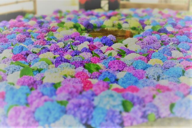 コロナ禍に県境を2つ跨いで花手水 太宰府天満宮 大宰府 福岡県 の旅行記 ブログ By さつまおごじょさん フォートラベル コロナ禍に県境を2つ跨いで花手水 太宰府天満宮 大宰府 福岡県 の旅行記 ブログ By さつまおごじょさん フォートラベル
