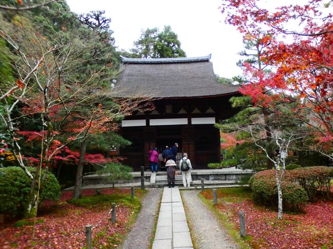 京都 京田辺 一休寺本堂他(Ikkyuji Temple Main Hall, Kyotanabe, Kyoto, JP)
