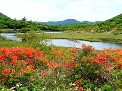 団塊夫婦の日本花巡りドライブ(2021関東甲信）ー（１）レンゲツツジが咲く赤城山へ