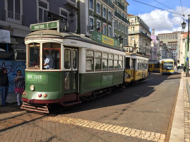 長期間にわたる海外旅行が主人のリタイア後の夢でした。今回のヨーロッパ旅行で、ようやくその夢がかなえられました。<br /><br />二人でヨーロッパは何度か行っておりますが、一か月以上の旅は国内でもしたことがありません。<br /><br />私の持病の心配やら、留守をすると困ることの手配をし、植物の水遣りを子供に頼み、留守宅に見えないような工夫も考え、何より旅行中の考え付くあらゆるトラブルに備えようと一年以上前から準備おさおさ怠りなくしたつもりですが、不安いっぱいの出発でした。<br /><br />やっと長年かけて貯めてきたANAのマイルがビジネスの特典航空券二人分になり、ロンドン行きの往復チケットをゲットしました。<br /><br />ANAの特典航空券は、ご存知の方はご存知でしょうが、特に海外の分はなかなか取れません。<br />一年近く前の申込日に合わせて申し込んだのですが、やはり希望日は取れず、予定より10日近く長く旅行をすることになりました。<br /><br />でも何と言ってもリタイア生活ですから、日にちは何とでもなるのです。問題は旅行費です。<br /><br />せっかく行くのだから、あれが見たかったと後悔はしたくない。美味しいものも食べたいし、あんまり安い宿を取って、年寄二人が治安の悪いところでうろうろしたくはない。長期間なのでそれなりにかかるはず。<br />節約するところは切り詰めなくては。<br /><br />ちなみに特典航空券は航空会社によって違いますが、ストップオーバーが無料でできます。<br /><br />ANAは一回のみですが、日航や海外の航空会社はもっとできるようです。<br />ストップオーバーが何度もできると、周遊旅行の時には飛行機での移動にお金がかからないので、非常に良いです。<br />しかも日本と海外の間がビジネスクラスだと周遊の時の飛行機の座席も自動的にビジネスクラスとなるので、最高です。<br /><br />今回の旅は行ったことのない、スペインとポルトガルを中心に、フランスとイギリスもついでに回ってくるという日程になりました。<br /><br />日本からスペインやポルトガルへはANAのスターアライアンスでは直行便が無いので、まずイギリスに入り、そこからポルトガルへ、そしてスペイン、フランス，イギリスと回って帰ってきました。<br /><br />今回は、日程がゆっくりとしていたこともあり、ホテルはサンチャゴコンポステーラ、バルセロナ、ロンドンの三か所であとはアパートをレンタルしました。<br />ホテルより広く、設備も整っているので快適でした。<br />利用したホリデイレンタルのサイトはvrbo, homeaway,genteelhome,agoda,charactercottage,wimduなどでした。同じ施設で、いくつかのサイトに違う値段で出ている場合もあるのでチェックした方がいいです。<br /><br />チェックインする時は一か所を除き対面でキーを受け取りました。<br />チェックアウトする時は、チェックインの時に指示された通りに出ていき、対面で鍵を返すことはどこもありませんでした。<br />charactercottageというサイトで借りたイギリスのコテージは事前にメールで鍵の受け取り方を教えてくれており、その通りにすれば全く非対面で入室できて、言葉に不安のある方でも安心です。<br />注意事項等は英語ですが、部屋の中に指示書の入ったファイルなどがあります。<br />予め到着時刻をメールしておきますが、遅れることもあり、人との対面の約束は緊張します。私はそこそこの英語しか話せないので、電話で喋るのは苦手です。一度も電話で話す機会は無かったのは幸いでした。<br /><br /><br />日程は<br /><br />リスボン　　6泊<br /><br />グラナダ　　5泊<br /><br />マドリッド　6泊<br /><br />サンチャゴコンポステーラ　　2泊<br /><br />バルセロナ　　3泊<br /><br />パり　　6泊<br /><br />ロンドン　　3泊<br /><br />コッツウォルズ　　6泊<br /><br />というものです。<br /><br />計37泊39日、一生に一度の長旅です。<br /><br />移動の詳細です。<br /><br /><br />5月12日　　　11:35　羽田発    16:10  同日ロンドンヒースロー空港着   <br /><br />　　　　　　18:45　ロンドンヒースロー空港発　　21:20　リスボンポル <br />                             テラ空港着　ポルトガル航空<br /><br />5月18日     12:35  リスボンポルテラ空港発     17:20  グラナダ・ハエン <br />                           空港着　　マドリッド乗り換え　イベリア航空<br />　　　　　　　　　　　　　　　　　　　　　　　　　　　　　　　　　　　<br />5月23日　　 9:40   グラナダバスターミナル発　<br />                  11:00 　アンテケーラ 駅着　　　　(ALSAのバス)<br />　　　　　   11:23 　アンテケーラ駅発　　　renfe　(スペイン国鉄)　<br />                  13:40　マドリッドアトーチャ駅着　(マドリードグラナダ間 <br />                              は鉄道工事中)<br /><br />5月29日　　11:30　　マドリッドバラハス空港発　<br />                 12:30       サンチャゴコンポステーラ着　イベリア航空　<br /><br />5月31日　　10:15　　サンチャゴコンポステーラ発　　<br />　　　　　　11:55　　バルセロナ・エルプラット空港着　　イベリア航空<br /><br />6月3日　　　9:45　　　バルセロナ・エルプラット空港発　　<br />　　　　　　　　　　　　チューリッヒ経由<br />　　　　　　20:10　     パリシャルルドゴール空港着<br /><br />6月9日　　　　　　　　パり北駅発　　　　　　　　　　<br /><br />　　　　　　　　　　　ロンドンセントパンクラス駅　　　ユーロスター<br /><br />6月12日　　　　　　　ビクトリアコーチステーションからチェルトナム　　　　　　　　　　　　　　　　　　　<br />　　　　　　　　　　　長距離バス　<br />　　　　　　　　　　　チェルトナムからレンタカー移動　ブロックリー　　　　　　　　　　　<br /><br />6月18日　　　　　　　チェルトナムにてレンタカー返却後ロンドンヒース　　　　　　　<br />　　　　　　　　　　　ロー空港へ　長距離バス<br /><br />　　　　　　19:00   　 ロンドンヒースロー空港発　　　　　　　全日空<br /><br />6月19日　　14:40　　羽田着<br /><br /><br /><br /><br /><br /><br />