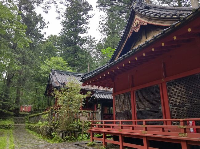 2日め 14974歩<br /><br />戦場ヶ原展望台付近の木道工事が完了したので、予定に組んでいたけれど、雷注意報が出たので、早々に日光市へ移動。<br />雷・豪雨と逃げ場所ないですからね…<br /><br />雨天時の候補に霧降高原のニッコウキスゲ!と考えていたのですが、ネット情報でヤマビルがすごいとのことだったので、滝尾神社をゆっくり巡ることに決定。<br /><br />え、滝尾神社にもヤマビル注意の掲示が…<br />でも、長ズボンだし、ソックス履いているし、石段だしと気を抜いていたら、楼門を抜けたあたりで、嫌な予感!<br />裾をめくったら、ソックスの上に1匹、もう大騒ぎ!<br />反対を見るとすでに吸血され始め、またまた大騒ぎ!<br />彼は?と見ると太もも辺りについてるじゃん!<br />でも、吸血されていないので余裕の表情(怒)<br /><br />ちょこっと吸われただけなのに、本当に血が止まらない~!<br />ウェットティシュを靴下の間に挟み、どうにか止血成功(笑)で、ホッ!<br />しかし、その後は疑り深くなり、そそくさ滝尾神社を後にしました。<br /><br />短パンにサンダルの若者もいたけど、被害はなかったのかな?<br />あ~、防犯スプレーではなく、塩を持参するべきでした(笑)<br /><br />中禅寺金谷ホテル→JR日光駅…日光ステーションホテルクラシック…JR日光駅前→神橋前…本宮神社…四本龍寺…白糸の滝…運試しの鳥居…滝尾神社楼門…滝尾神社…香車堂…勝道上人のお墓…本宮カフェ…柏崎…日光ステーションホテルクラシック<br /><br />「世界遺産日光二社一寺を巡る」へ続く<br /><br />