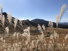 2020キャンプ⑥奈良県御杖村でキャンプ＆曽爾高原ですすき