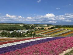 2021 子連れ 北海道旅行記　旭川　富良野　美瑛　①　旭山動物園　四季彩の丘　ホテル一花