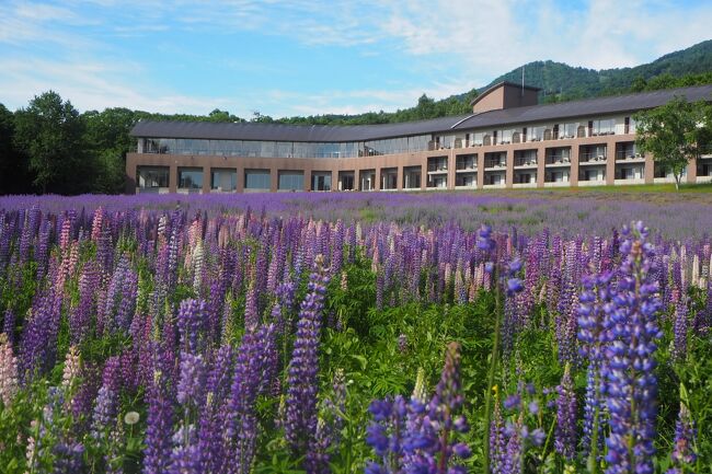 フラノ寶亭留　ひとりで超シンプルに泊まる　in　富良野