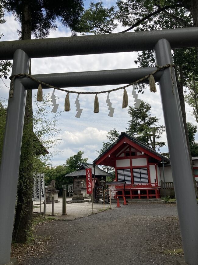 コロナ予防接種の前に飯能市街の神社と寺を自転車で回ってから医院に行った