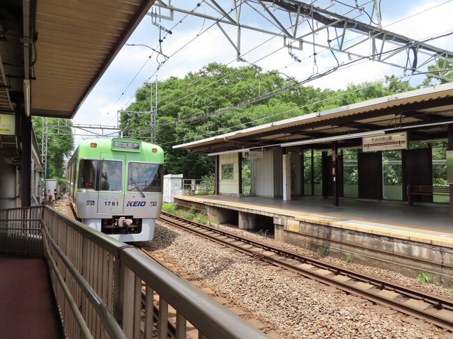 雨の季節を前に　都内各所でアジサイの花が咲き始めています。<br />ちょうど郊外に用事があったので　渋谷経由で世田谷の方へ行ってきました。<br />叔母の家に一泊して　翌日　叔母と一緒に井の頭公園を散歩しました。<br />珍しい鳥は見つけられなかったのですが、緑の中に多くの野鳥が見られて、気持ちの良いひと時を過ごすことができました。<br /><br />そのちょうど一年後の今年の５月　その叔母は有料老人ホームに入ってしまいました。<br /><br />たったの一年で　人間がここまで老いるというのを目の当たりにして　ショックを受けています。<br />上手に『老い』とつきあっていこうなんて　きれいごとだと痛感しています。<br />