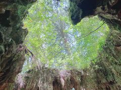 梅雨の晴れ間に屋久島へ ４日目 縄文杉トレッキング編その２