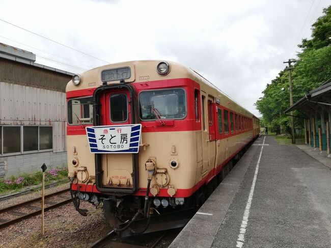 楽しい乗り物シリーズ、<br />今回は、千葉県の小湊鉄道＆いすみ鉄道「房総里山トロッコ＆レトロな急行列車」をご紹介します。<br /><br />★楽しい乗り物シリーズ<br /><br />美幸線廃線跡トロッコ（北海道）<br />https://4travel.jp/travelogue/11674531<br />JR北海道「ＳＬニセコ号」＆美深トロッコ(北海道)<br />http://4travel.jp/travelogue/10588129<br />JR北海道「旭山動物園号」（北海道）※廃止<br />http://4travel.jp/travelogue/10431501<br />JR北海道＆東日本「カシオペア」(北海道)　※廃止<br />http://4travel.jp/travelogue/10578381<br />ＪＲ西日本「トワイライトエクスプレス」(北海道＆新潟)　※廃止<br />http://4travel.jp/travelogue/10982824<br />ボンネットバスで行く小樽歴史浪漫（北海道）<br />http://4travel.jp/traveler/satorumo/album/10432575/<br />JR北海道＆東日本「夜行急行列車はまなす」(北海道)　※廃止<br />http://4travel.jp/travelogue/11073488<br />JR北海道「ＤＭＶ（デュアル・モード・ビークル）」（北海道）※開発中止<br />http://4travel.jp/travelogue/10462428<br />JR北海道「富良野・美瑛ノロッコ号」(北海道)<br />http://4travel.jp/travelogue/10613668<br />ＪＲ北海道「流氷ノロッコ号＆ＳＬ冬の湿原号」（北海道）<br />http://4travel.jp/travelogue/10636606<br />ボンネットバス「函館浪漫号」 (北海道)<br />http://4travel.jp/travelogue/10439020<br />ＳＬ函館大沼号＆定期観光バス「ハイカラ號」(北海道)<br />http://4travel.jp/travelogue/10461438<br />JR東日本「リゾートしらかみ“2代目ブナ編成”」(青森)<br />http://4travel.jp/travelogue/11202958<br />津軽鉄道　「ストーブ列車」(青森)<br />http://4travel.jp/travelogue/11122704<br />三陸鉄道「洋風こたつ列車」（岩手）<br />https://4travel.jp/travelogue/11692650<br />JR東日本「ＳＬ銀河」（岩手）<br />http://4travel.jp/travelogue/10893431<br />JR東日本「いわて・平泉文化遺産号」（岩手）<br />http://4travel.jp/traveler/satorumo/album/10590418/<br />八幡平ボンネットバス（岩手）<br />http://4travel.jp/travelogue/11039600<br />JR東日本「ジパング平泉」(岩手)<br />http://4travel.jp/traveler/satorumo/album/10710506<br />三陸鉄道「南リアス線」（岩手）<br />http://4travel.jp/travelogue/10895080<br />JR東日本「大船渡線　“BRT”」(岩手＆宮城)　　　　<br />http://4travel.jp/travelogue/10896079<br />JR東日本「ポケモントレイン気仙沼」(岩手＆宮城)<br />http://4travel.jp/traveler/satorumo/album/10763358/<br />かき鍋クルーズ(宮城)<br />http://4travel.jp/traveler/satorumo/album/10752892/<br />JR東日本「気仙沼線　“BRT”」(宮城)<br />http://4travel.jp/traveler/satorumo/album/10760789/<br />お座敷列車・平泉文化遺産号（宮城）<br />http://4travel.jp/traveler/satorumo/album/10594639/<br />コスモス祭りに走る“松山人車軌道”(宮城)<br />http://4travel.jp/traveler/satorumo/album/10619155/<br />JR東日本「石巻線＆仙石線」（宮城）<br />http://4travel.jp/traveler/satorumo/album/10610832/<br />JR東日本「リゾートみのり」(宮城＆山形)<br />http://4travel.jp/travelogue/10973345<br />JR東日本「きらきらうえつ」（秋田＆山形）<br />http://4travel.jp/travelogue/10939550<br />JR東日本「とれいゆつばさ」(山形)<br />http://4travel.jp/travelogue/10977124<br />JR東日本「さくらんぼ風っこ」(山形)<br />http://4travel.jp/traveler/satorumo/album/10692556/<br />東武鉄道「尾瀬夜行23:55」（福島)<br />http://4travel.jp/traveler/satorumo/album/10702090/<br />JR東日本「ＳＬ会津只見号」（福島）<br />http://4travel.jp/travelogue/10561966<br />JR東日本「フルーティアふくしま」(福島)<br />http://4travel.jp/travelogue/11160686<br />JR東日本「お座敷うつくしま浜街道」号（茨城）<br />http://4travel.jp/traveler/satorumo/album/10435948/<br />小堀の渡し（茨城）<br />http://4travel.jp/traveler/satorumo/album/10425647/<br />かしてつバス（茨城）<br />http://4travel.jp/traveler/satorumo/album/10607951/<br />ひたちＢＲＴ(茨城)<br />http://4travel.jp/travelogue/11025954<br />JR東日本「いろは」（栃木）<br />https://4travel.jp/travelogue/11425304<br />湯西川ダックツアー（栃木）<br />http://4travel.jp/traveler/satorumo/album/10816706/<br />東武鉄道「リバティ＆ＳＬ大樹」（栃木）<br />https://4travel.jp/travelogue/11308494<br />東武鉄道「スカイツリートレイン南会津号」（栃木＆埼玉＆東京）<br />http://4travel.jp/traveler/satorumo/album/10819869/<br />東武鉄道「スペーシア」（栃木＆東京）<br />http://4travel.jp/traveler/satorumo/album/10820730/<br />西武鉄道「臨時夜行列車」（埼玉＆東京）<br />https://4travel.jp/travelogue/11343646<br />JR東日本「リゾートやまどり」(群馬)<br />http://4travel.jp/traveler/satorumo/album/10624619/<br />トロッコ列車「シェルパ君」（群馬）<br />http://4travel.jp/travelogue/10521246　　<br />わたらせ渓谷鐵道「トロッコわたらせ渓谷号」（群馬）<br />http://4travel.jp/travelogue/10653503<br />小湊鉄道＆いすみ鉄道「房総里山トロッコ＆レトロな急行列車」（千葉）<br />https://4travel.jp/travelogue/11698211<br />小湊鉄道「里山トロッコ」（千葉）<br />http://4travel.jp/travelogue/11141517<br />ツインライナー＆浦賀渡し船（神奈川）<br />http://4travel.jp/travelogue/10514989<br />小田急電鉄「ロマンスカー・サルーン席」（神奈川）<br />http://4travel.jp/traveler/satorumo/album/10448952/<br />JR東日本「伊豆クレイル」(神奈川)<br />http://4travel.jp/travelogue/11167399<br />JR東日本「現美新幹線」　(新潟)<br />http://4travel.jp/travelogue/11160683<br />JR東日本「NO.DO.KA」(新潟)<br />http://4travel.jp/travelogue/10904325<br />JR東日本「越乃Shu*Kura」（新潟）<br />http://4travel.jp/travelogue/10906874<br />JR東日本「ＳＬばんえつ物語」(新潟＆福島)<br />http://4travel.jp/travelogue/10909105<br />JR西日本「ベル・モンターニュ・エ・メール(べるもんた)」(富山)<br />http://4travel.jp/travelogue/11102039<br />富山地方鉄道「レトロ電車」(富山)<br />http://4travel.jp/travelogue/10983819<br />富山地方鉄道「アルプスエキスプレス」(富山）<br />http://4travel.jp/travelogue/10999061<br />のと鉄道「のと里山里海号」（石川)<br />http://4travel.jp/travelogue/11100480<br />JR西日本「花嫁のれん」(石川)<br />http://4travel.jp/travelogue/11100917<br />えちぜん鉄道「きょうりゅう電車」(福井）<br />http://4travel.jp/travelogue/11103005<br />富士急行「富士山ビュー特急」(山梨)<br />http://4travel.jp/travelogue/11160680<br />富士急行「フジサン特急」(山梨)<br />http://4travel.jp/travelogue/10979453<br />富士急行「富士登山電車」(山梨)<br />http://4travel.jp/travelogue/10418489<br />JR東日本「桃源郷パノラマ」号（山梨）<br />http://4travel.jp/traveler/satorumo/album/10447711/<br />JR東日本「HIGH RAIL 1375」（山梨＆長野）<br />https://4travel.jp/travelogue/11324691<br />JR東日本「おいこっと」（長野)<br />http://4travel.jp/travelogue/11076547<br />JR東日本「リゾートビューふるさと」（長野）<br />http://4travel.jp/traveler/satorumo/album/10515819/<br />しなの鉄道「ろくもん」（長野）<br />http://4travel.jp/travelogue/10991507<br />明知鉄道「じねんじょ列車」（岐阜）<br />https://4travel.jp/travelogue/11695373<br />http://4travel.jp/travelogue/11233948<br />明知鉄道「寒天列車」（岐阜）<br />http://4travel.jp/travelogue/10495412<br />明知鉄道「きのこ列車」（岐阜）<br />http://4travel.jp/travelogue/10510003<br />長良川鉄道「ゆら～り眺めて清流列車＆観光列車“ながら”」(岐阜)<br />http://4travel.jp/travelogue/11263488<br />大井川鐵道「南アルプスあぷとライン＆ＳＬかわね路号」(静岡)<br />http://4travel.jp/travelogue/11019512<br />伊豆急行「リゾート２１」（静岡）<br />http://4travel.jp/travelogue/10946692<br />リンガーベル＆我入道の渡し（静岡）<br />http://4travel.jp/travelogue/10519012<br />JR東海「そよ風トレイン117」（愛知・静岡）※廃止<br />http://4travel.jp/traveler/satorumo/album/10492138/<br />牛川の渡し（愛知）<br />http://4travel.jp/travelogue/10519148<br />養老鉄道＆四日市あすなろう鉄道＆伊賀鉄道「薬膳列車<br />&amp;シースルー列車＆忍者電車」（岐阜＆三重）　　<br />https://4travel.jp/travelogue/11524718<br />近畿日本鉄道「つどい」(三重)<br />http://4travel.jp/travelogue/11001558<br />阪急電鉄「京とれいん」（京都）<br />http://4travel.jp/traveler/satorumo/album/10604151/<br />京阪電鉄「京阪特急」（京都）<br />http://4travel.jp/traveler/satorumo/album/10800884/<br />嵯峨野観光鉄道「トロッコ列車」&amp;京都丹後鉄道「丹後の海」(京都)<br />http://4travel.jp/travelogue/11265617<br />北近畿タンゴ鉄道(京都丹後鉄道)「丹後あかまつ号」（京都＆兵庫）<br />http://4travel.jp/travelogue/10997325<br />近畿日本鉄道「ビスタカー」（京都＆奈良）<br />http://4travel.jp/traveler/satorumo/album/10802318<br />阪急電鉄＆叡山電鉄「京とれいん 雅洛&amp;きらら＆ひえい」（京都＆大阪）<br />https://4travel.jp/travelogue/11522364<br />京阪電鉄「京阪特急プレミアムカー」（京都＆大阪）<br />https://4travel.jp/travelogue/11351132<br />大阪市「大阪市営渡船」（大阪）<br />https://4travel.jp/travelogue/11446316<br />南海電鉄「ラピート」（大阪）<br />http://4travel.jp/traveler/satorumo/album/10800370<br />近畿日本鉄道「ビール列車」（大阪＆奈良）<br />https://4travel.jp/travelogue/11518643<br />近畿日本鉄道「しまかぜ」（大阪＆奈良）<br />http://4travel.jp/travelogue/10803761<br />近畿日本鉄道「伊勢志摩ライナー」（奈良＆京都）<br />http://4travel.jp/traveler/satorumo/album/10806901/<br />近畿日本鉄道「青の交響曲(シンフォニー）」(奈良＆大阪)<br />http://4travel.jp/travelogue/11217768<br />神戸新交通「六甲ライナー」（兵庫）<br />https://4travel.jp/travelogue/11540190<br />あけのべ自然学校「明延鉱山 一円電車」（兵庫）<br />https://4travel.jp/travelogue/11450312<br />JR西日本「天空の城竹田城跡号」（兵庫）<br />https://4travel.jp/travelogue/11284471<br />智頭急行ローカル列車&amp;若桜鉄道「八頭」（兵庫＆岡山＆鳥取）<br />https://4travel.jp/travelogue/11594668<br />南海電鉄「こうや花鉄道・天空」（和歌山）<br />http://4travel.jp/traveler/satorumo/album/10427331/<br />和歌山電鐵「たま電車＆おもちゃ電車＆いちご電車」（和歌山）<br />http://4travel.jp/traveler/satorumo/album/10428754/<br />南海電鉄「めでたいでんしゃ＆サザン」　（和歌山)<br />http://4travel.jp/travelogue/11155813<br />JR西日本「鬼太郎列車」（鳥取）<br />http://4travel.jp/travelogue/10439595<br />JR西日本「奥出雲おろち号」(島根)<br />http://4travel.jp/travelogue/10595300<br />岡山電気軌道「たま電車」（岡山）　<br />http://4travel.jp/travelogue/10416889<br />JR西日本「La Malle de Bois（ラ・マル・ド・ボァ）」 （岡山）<br />http://4travel.jp/travelogue/11167407<br />JR西日本「サンライズ出雲」(岡山＆鳥取)<br />http://4travel.jp/travelogue/11123534<br />JR西日本「あめつち＆鬼太郎列車」（鳥取）<br />https://4travel.jp/travelogue/11419680<br />JR西日本「みすゞ潮彩号」（山口）※廃止<br />http://4travel.jp/traveler/satorumo/album/10450814/<br />JR西日本「○○のはなし」（山口)<br />https://4travel.jp/travelogue/11287710<br />JR西日本「ＳＬやまぐち号」(山口)<br />https://4travel.jp/travelogue/11304295<br />JR四国「ゆうゆうアンパンマンカー」＆南海フェリー（徳島＆和歌山）<br />https://4travel.jp/travelogue/11667779<br />「世界一長い」モノレール（徳島）<br />http://4travel.jp/traveler/satorumo/album/10450801/<br />JR四国「おおぼけトロッコ」(徳島)　※廃止<br />http://4travel.jp/travelogue/10590175<br />JR四国「四国まんなか千年ものがたり」(徳島＆香川)<br />http://4travel.jp/travelogue/11282006<br />四国オレンジフェリー＆JR四国「伊予灘ものがたり」（愛媛）<br />https://4travel.jp/travelogue/11665938<br />JR四国「伊予灘ものがたり」（愛媛）<br />http://4travel.jp/travelogue/11041778<br />JR四国「鉄道ホビートレイン」（愛媛＆高知）<br />http://4travel.jp/travelogue/11043511　　<br />JR四国「鉄道ホビートレイン＆しまんトロッコ＆志国高知の幕末維新号」（高知）<br />https://4travel.jp/travelogue/11394604<br />土佐くろしお鉄道「ごめん・なはり線 展望デッキ車両」（高知）<br />http://4travel.jp/traveler/satorumo/album/10813201<br />JR四国　「海洋堂ホビートレイン」（高知）※車両変更<br />http://4travel.jp/traveler/satorumo/album/10814054/<br />西日本鉄道「旅人」(福岡) ※車両変更<br />http://4travel.jp/travelogue/11053772<br />JR九州「ハウステンボス＆シーサイドライナー」<br />&amp;長崎電気軌道「みなと」&amp;西日本鉄道「水都」(長崎&amp;福岡)<br />https://4travel.jp/travelogue/11293792<br />西日本鉄道「THE RAIL KITCHEN CHIKUGO」（福岡）<br />https://4travel.jp/travelogue/11563357<br />熊本市電「COCORO」（熊本）<br />https://4travel.jp/travelogue/11563357<br />JR九州「Ａ列車で行こう」（熊本）<br />http://4travel.jp/traveler/satorumo/album/10631554/<br />JR九州「あそぼーい!」（熊本)<br />http://4travel.jp/traveler/satorumo/album/10634616/<br />くま川鉄道「田園シンフォニー」(熊本)<br />http://4travel.jp/travelogue/11052103<br />JR九州「ＳＬひとよし＆ＫＵＭＡ＆いさぶろう」（熊本）<br />http://4travel.jp/traveler/satorumo/album/10421906/<br />JR九州「かわせみ やませみ＆いさぶろう」(熊本)<br />https://4travel.jp/travelogue/11305160<br />肥薩おれんじ鉄道　「おれんじ食堂」（熊本＆鹿児島）<br />http://4travel.jp/traveler/satorumo/album/10827593<br />高千穂あまてらす鉄道(宮崎)<br />http://4travel.jp/travelogue/11049626<br />JR「海幸山幸」（宮崎）<br />http://4travel.jp/traveler/satorumo/album/10626438/<br />鹿児島県十島村　「フェリーとしま」(鹿児島)<br />http://4travel.jp/travelogue/11106970<br />鹿児島市交通局「観光レトロ電車“かごでん”」（鹿児島）<br />http://4travel.jp/travelogue/11130204<br />JR九州「指宿のたまて箱」（鹿児島）<br />http://4travel.jp/traveler/satorumo/album/10628464/