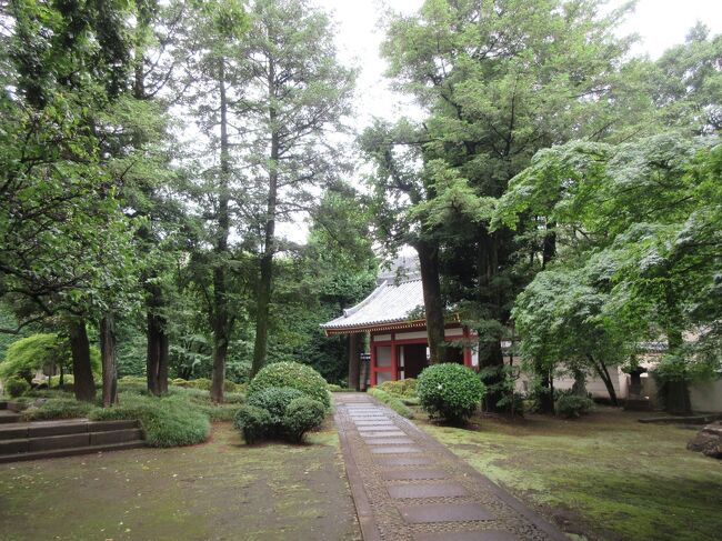 テレビで高円寺駅周辺の商店街を取り上げた番組を放送していたのを見て出かけてきました。駅周辺には10ほどの商店街が形成されていて、人通りが多いにぎやかな商店街から、昔から営業している個人経営の店が集まっている商店街、オフィスやマンションに交じり商店は点在しているものの落ち着きが感じられる商店街など、それぞれ独特の雰囲気が感じられました。<br />商店街以外にも見ごたえある参道や境内を持つ寺社や、日本唯一の気象神社が祀られた神社、緑豊かな公園や緑道など見どころも多くありました。<br />芸人が多く住む街としても知られる高円寺ですが、商店街巡りをしたり、寺社巡りをしたり、変化に富んだ散策ができるエリアだと思います。<br />