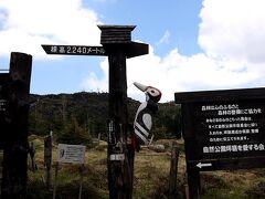 八ヶ岳　坪庭へ行ってきました。